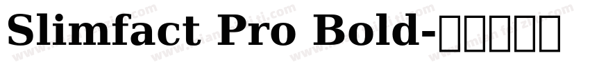 Slimfact Pro Bold字体转换